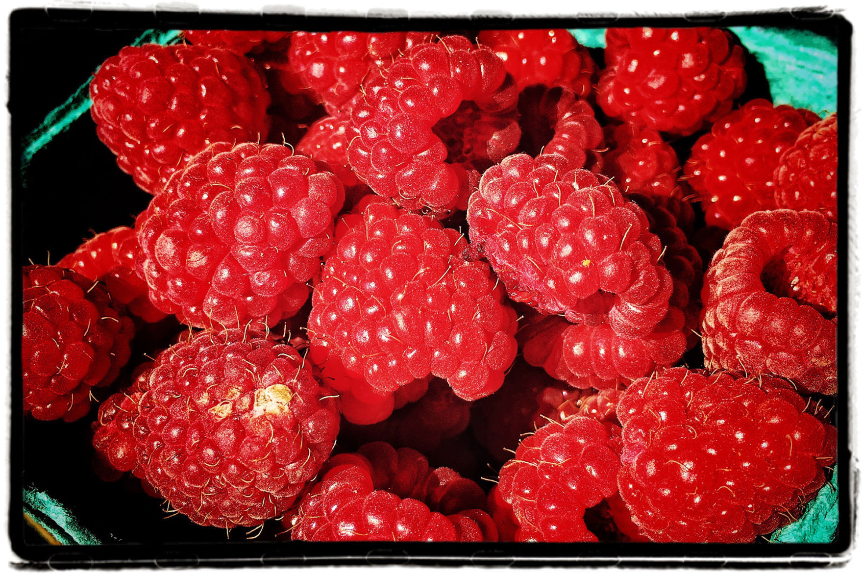 Farmers Market